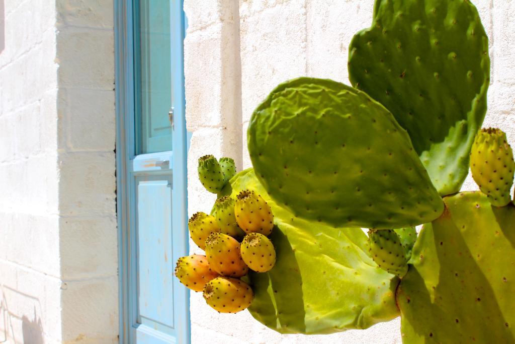 Masseria Fulcignano กาลาโตเน ภายนอก รูปภาพ