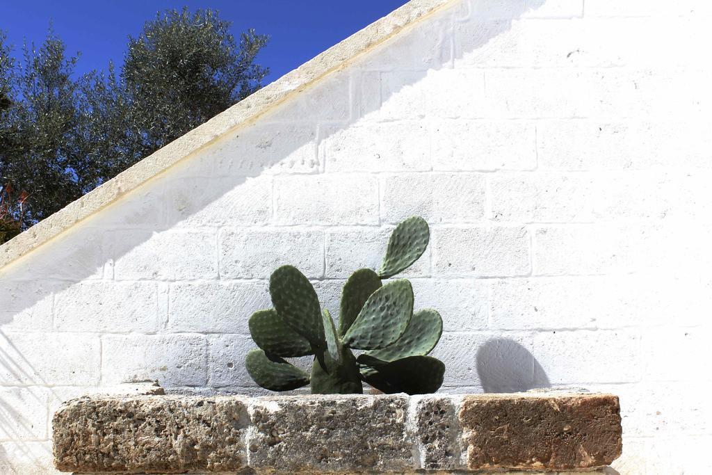 Masseria Fulcignano กาลาโตเน ภายนอก รูปภาพ
